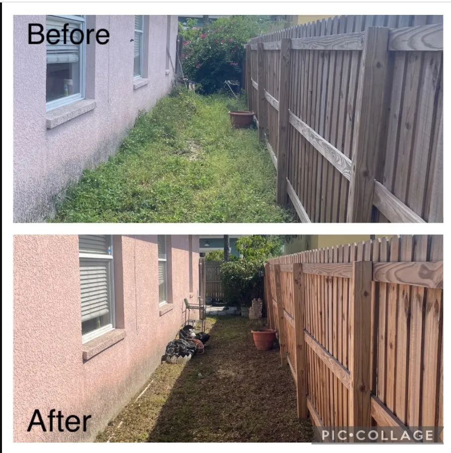 Custom landscape installation for year-round maintenance in Land O' Lakes, FL by Perfect Green Lawn & Landscaping