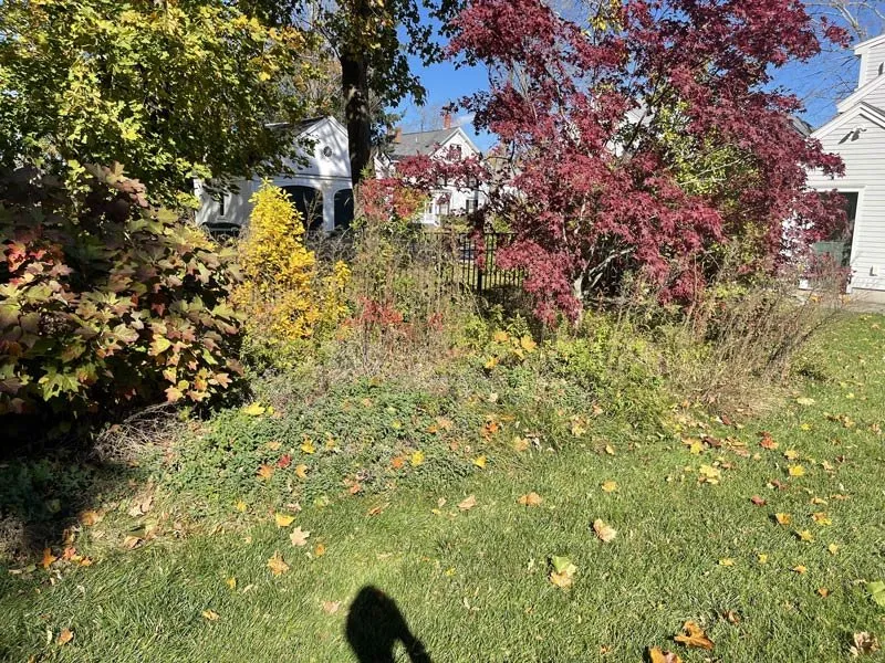 Affordable landscaping services near you across Exeter, NH - Perfect Image Landscaping