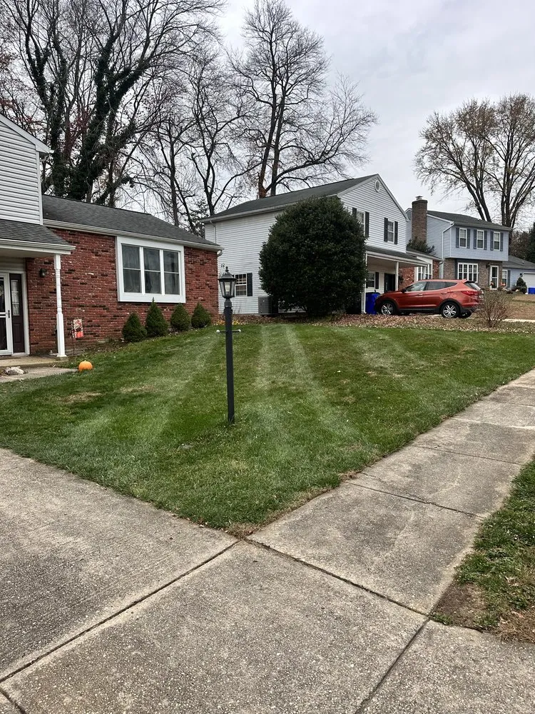 Trusted yard cleanup service with custom design in Abingdon, MD by Perfect Image Lawn Care