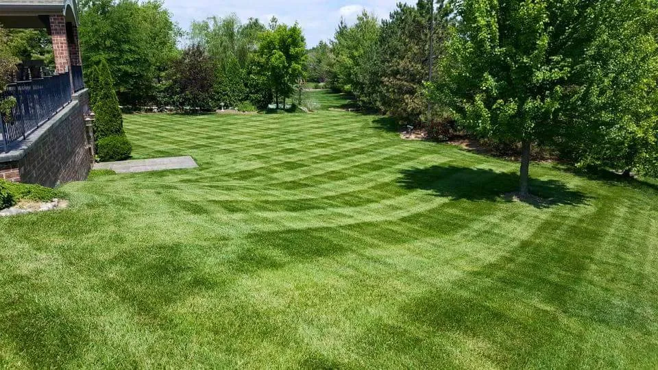 Trusted lawn mowing service for outdoor upgrades across Wentzville, MO - Perfect Image Total Lawn Management