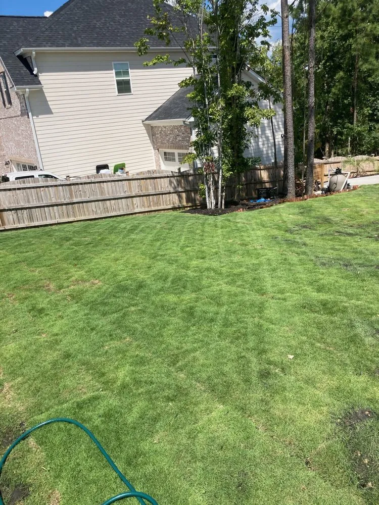 Affordable yard cleanup service experts serving Central, SC - Perfect Images Landscaping