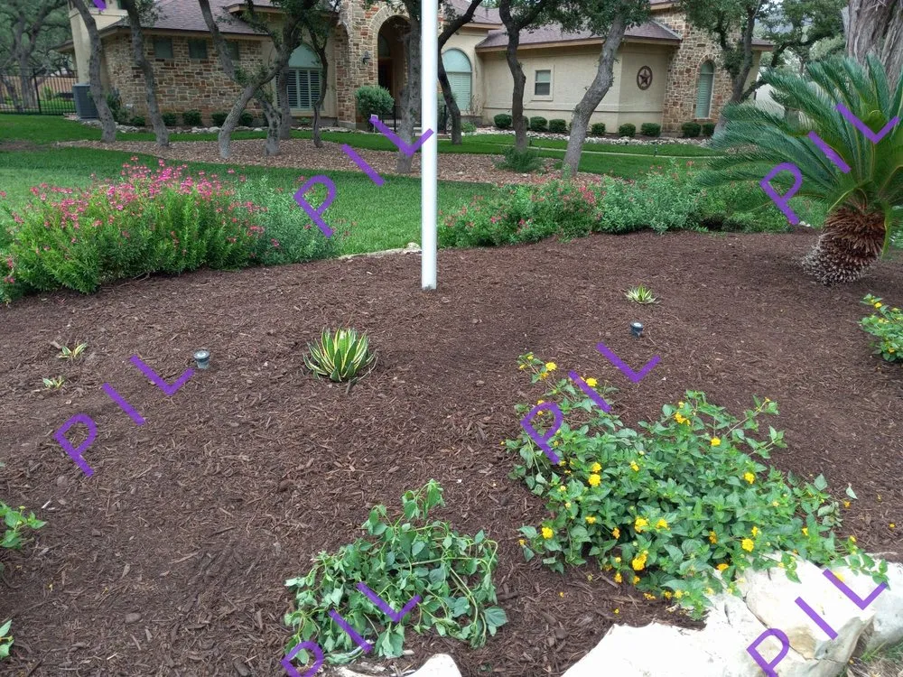 Affordable landscape design for outdoor upgrades across San Antonio, TX - Perfect Invisions Landscape