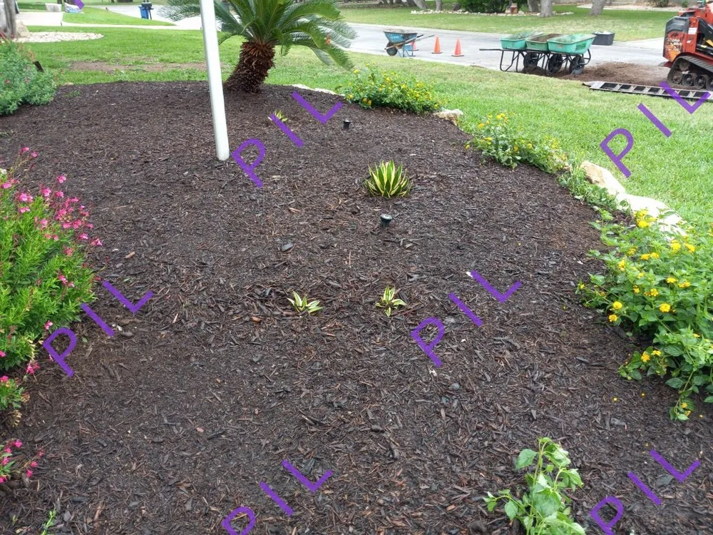 Affordable residential landscaping experts serving San Antonio, TX - Perfect Invisions Landscape