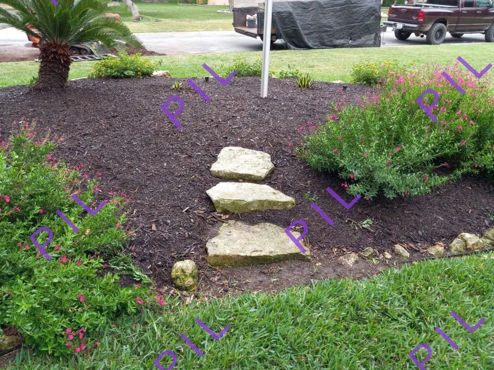Expert lawn care service in San Antonio, TX by Perfect Invisions Landscape
