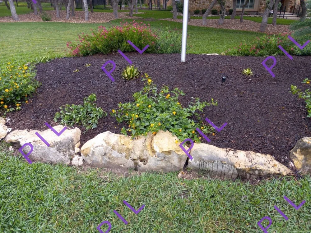 Top-rated lawn care service in San Antonio, TX by Perfect Invisions Landscape