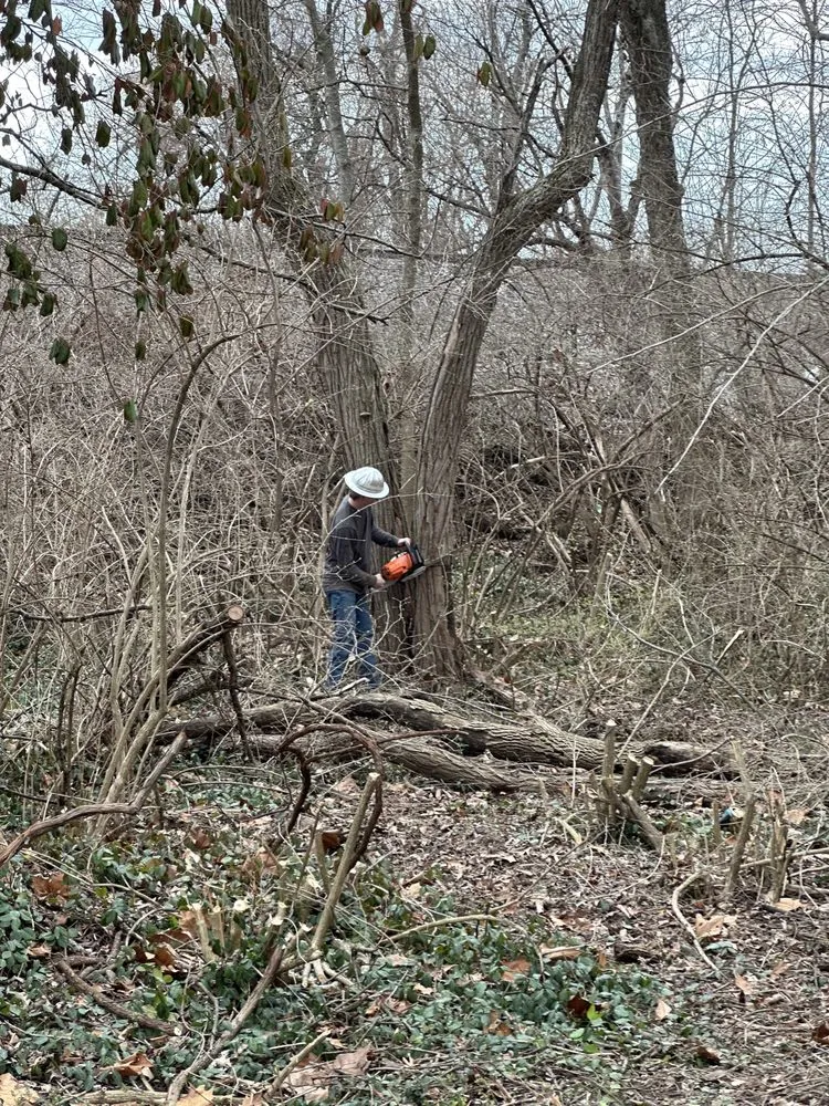 Local yard maintenance in Louisville, KY by Perfect Land Management