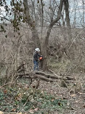 Perfect Land Management Logo
