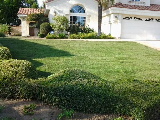 Reliable landscaping services near you in San Bernardino, CA by Perfect Landscape & Irrigation