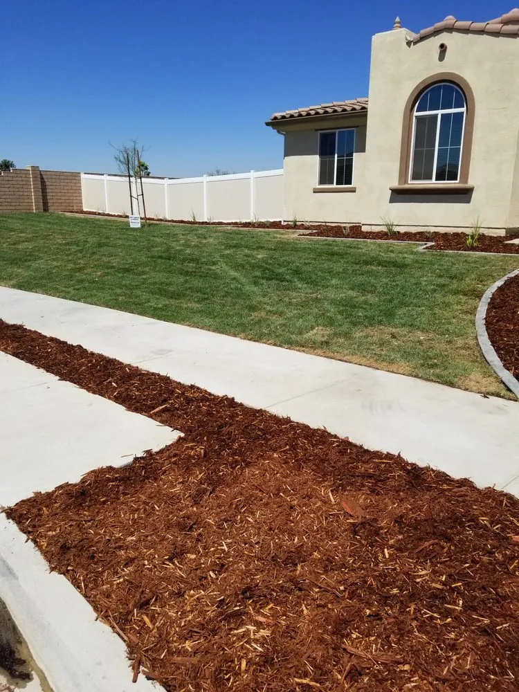 Trusted yard maintenance in San Bernardino, CA by Perfect Landscape & Irrigation