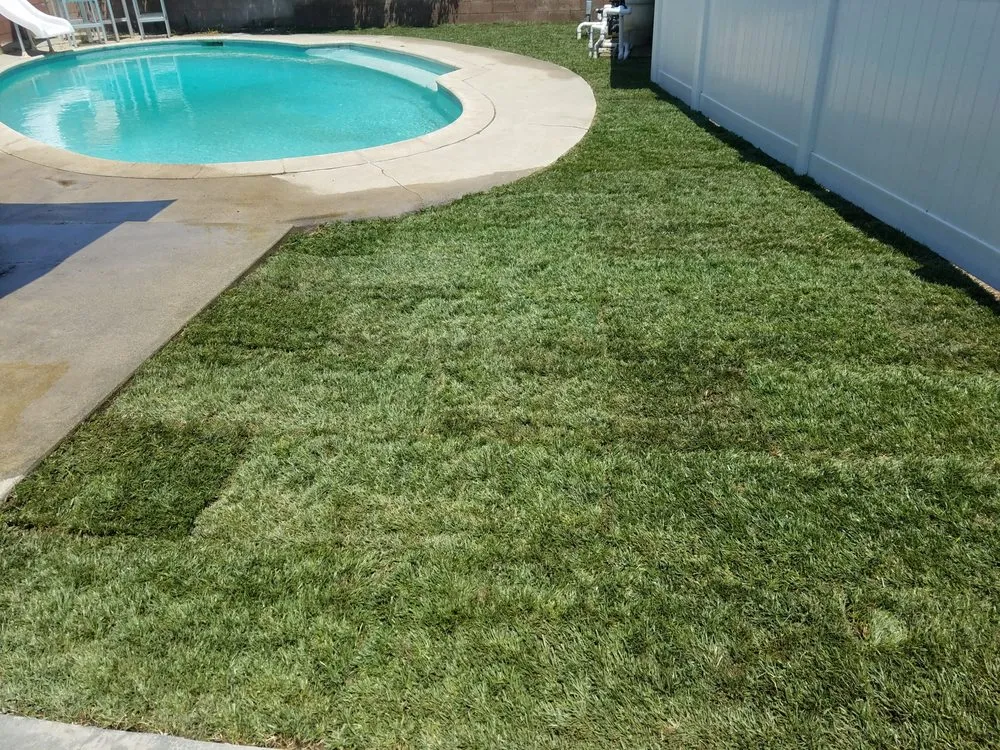 Custom yard cleanup service in San Bernardino, CA - Perfect Landscape & Irrigation