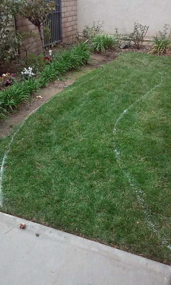 Professional lawn mowing service experts serving San Bernardino, CA - Perfect Landscape & Irrigation