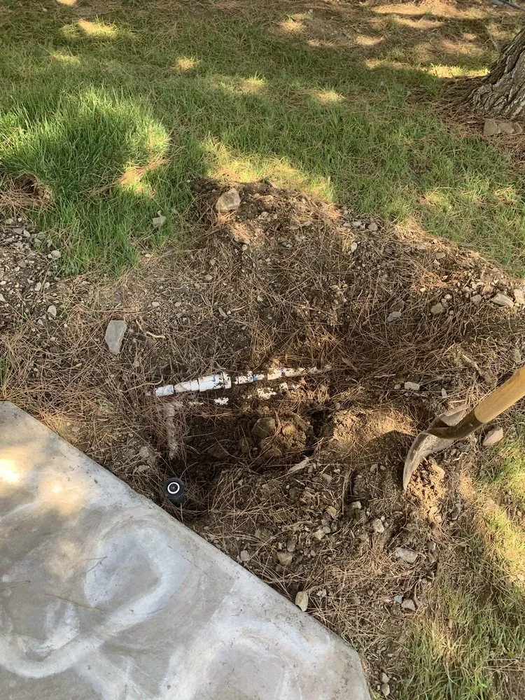 Custom yard cleanup service experts serving San Bernardino, CA - Perfect Landscape & Irrigation