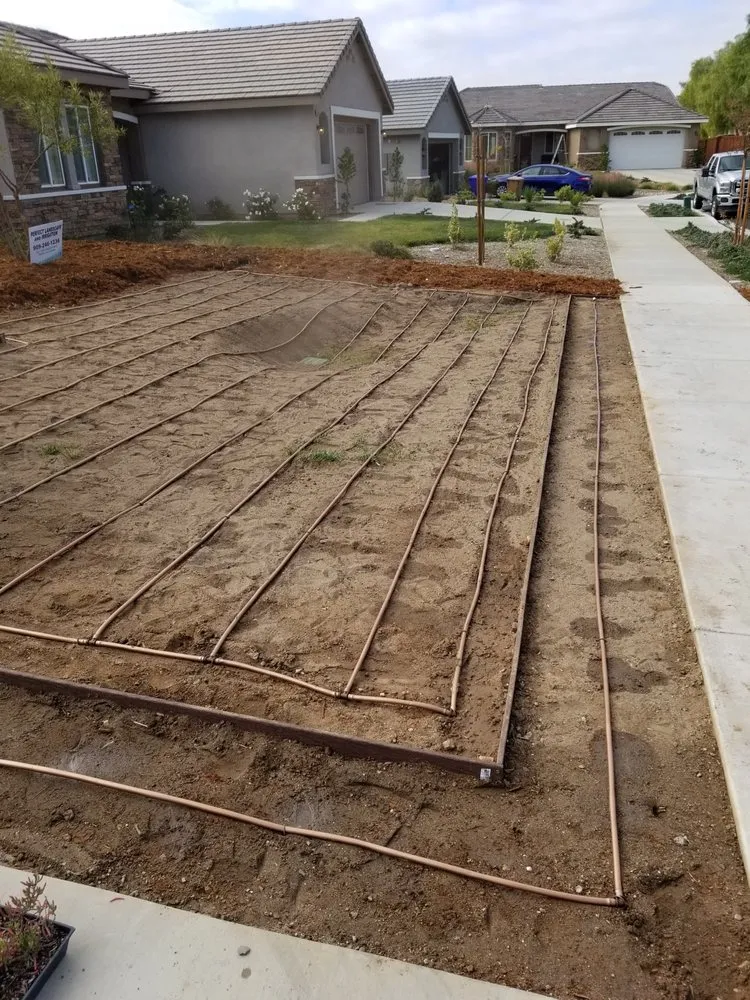 Reliable yard cleanup service in San Bernardino, CA by Perfect Landscape & Irrigation