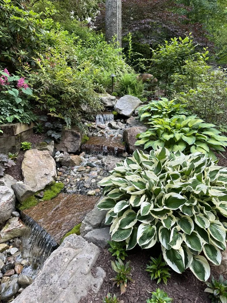 Custom yard cleanup service in Sterling, VA - Perfect Landscapes LLC