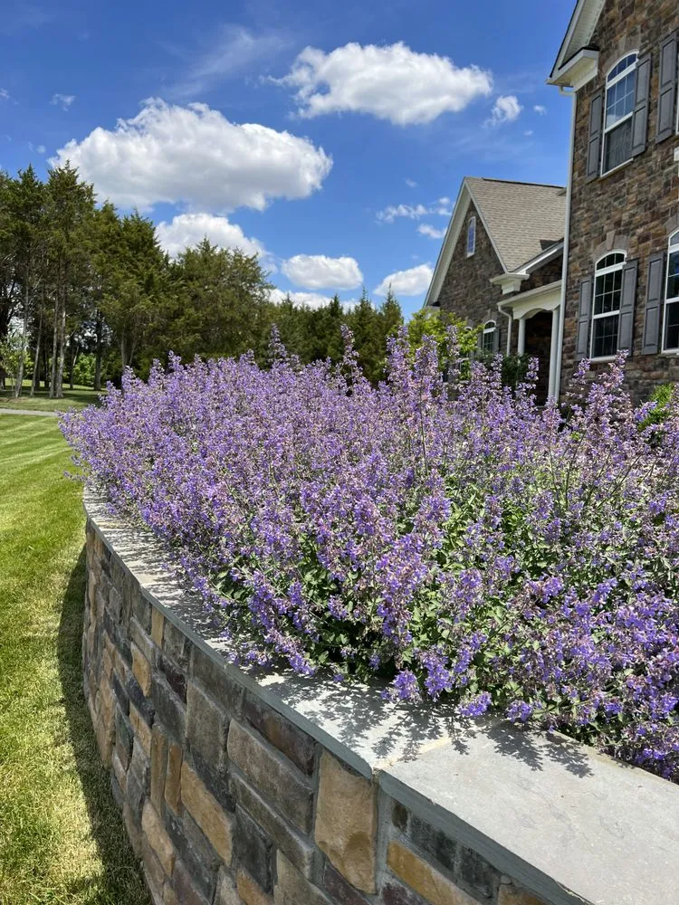 Custom landscaping services experts serving Sterling, VA - Perfect Landscapes LLC