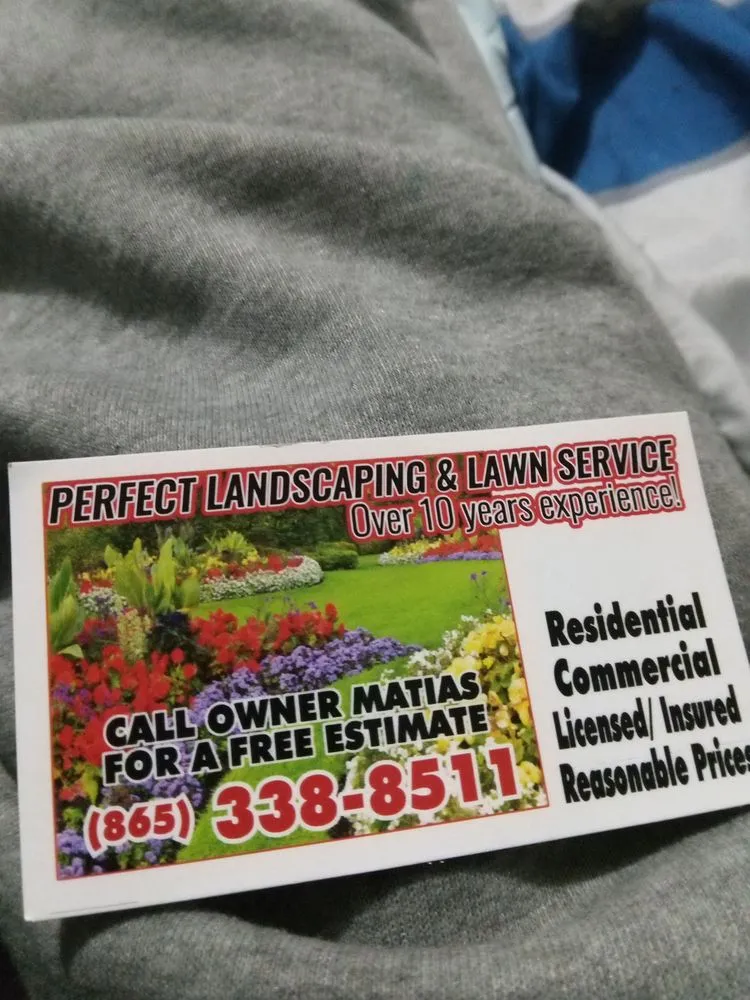 Affordable yard cleanup service experts serving Knoxville, TN - Perfect Landscaping