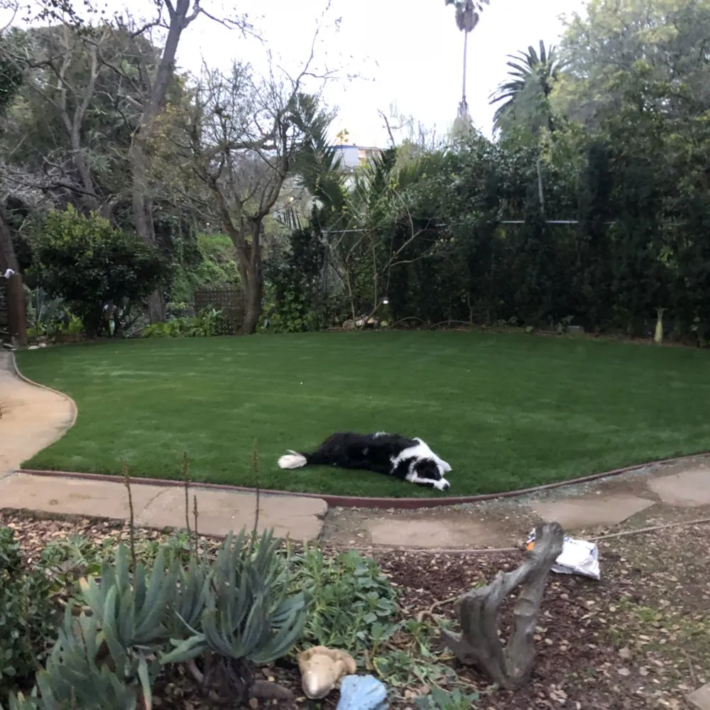 Custom landscaping services experts serving Berkeley, CA - Perfect Landscaping Services