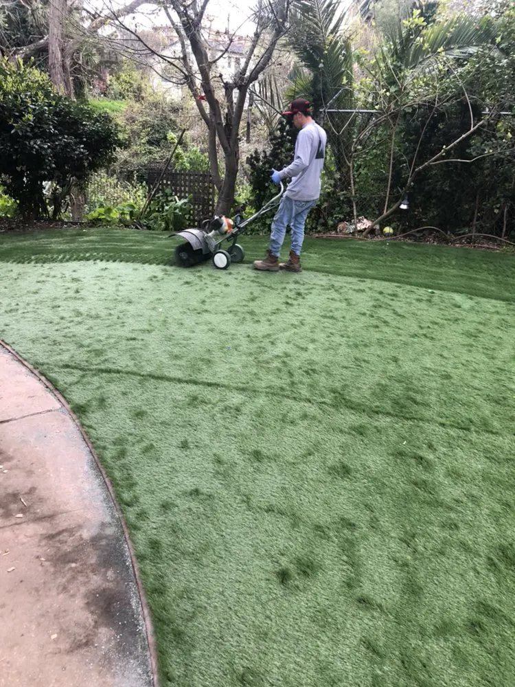 Top-rated yard cleanup service experts serving Berkeley, CA - Perfect Landscaping Services