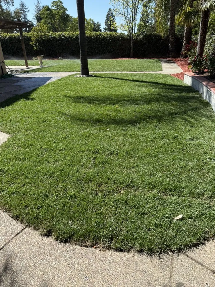 Local residential landscaping in Berkeley, CA - Perfect Landscaping Services