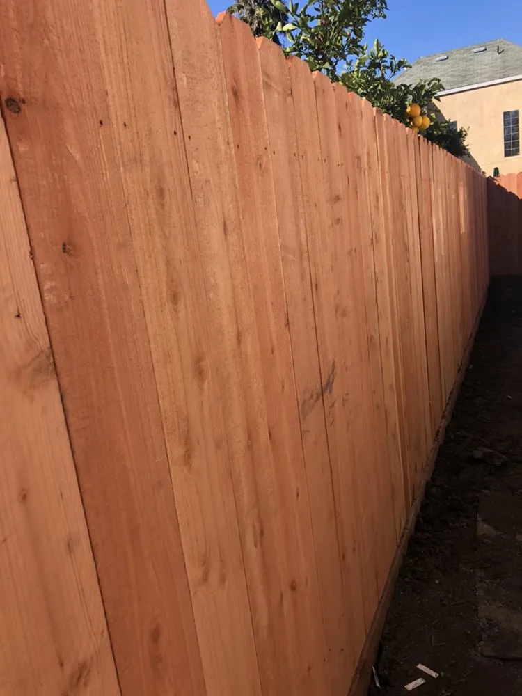 Top-rated landscape installation in Berkeley, CA by Perfect Landscaping Services