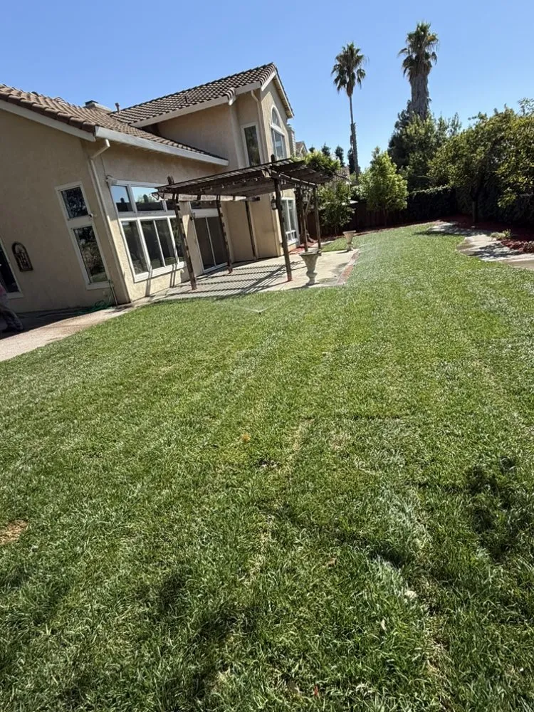 Professional landscape installation for homes across Berkeley, CA - Perfect Landscaping Services