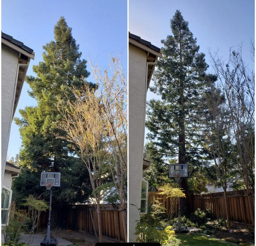 Local garden landscaping in Berkeley, CA by Perfect Landscaping Services