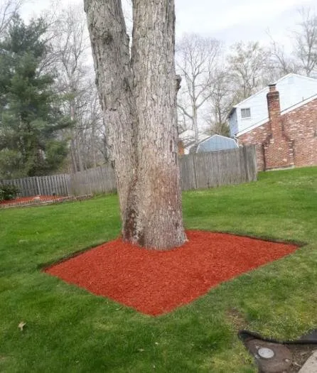 Top-rated yard cleanup service for beautiful yards across Bridgeton, NJ - Perfect Landscaping Services