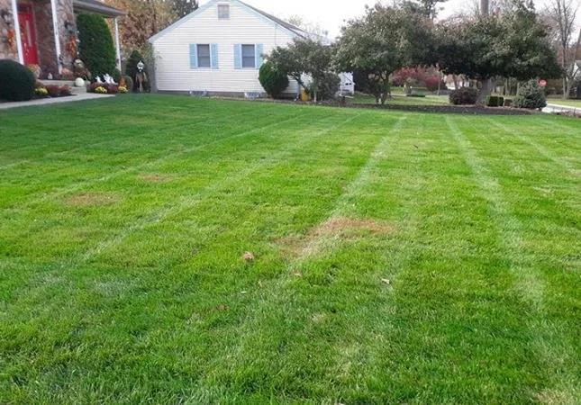 Professional landscape installation for residential properties across Bridgeton, NJ - Perfect Landscaping Services