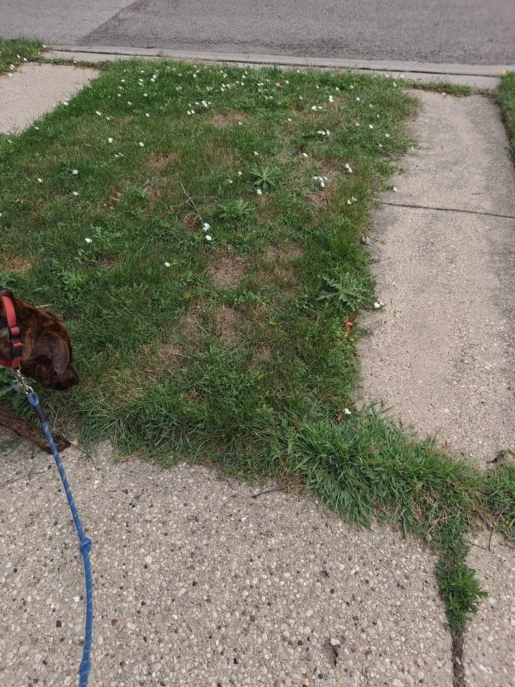 Local garden landscaping experts serving Mount Prospect, IL - Perfect Lawn & Snow Removal