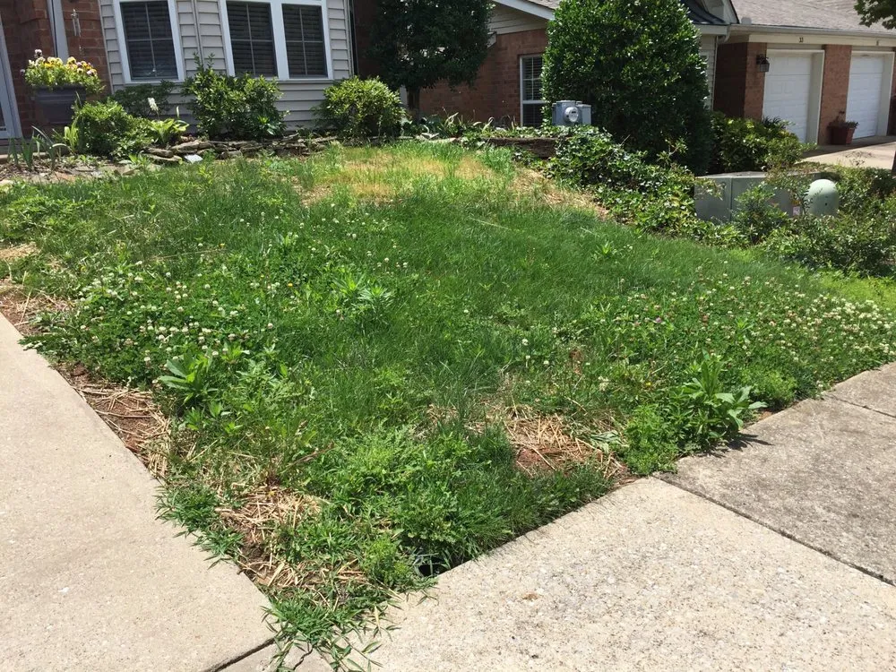 Trusted residential landscaping with custom design across Brentwood, TN - Perfect Lawn Care