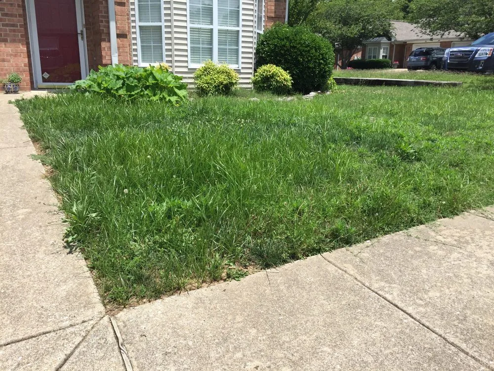Trusted garden landscaping in Brentwood, TN by Perfect Lawn Care