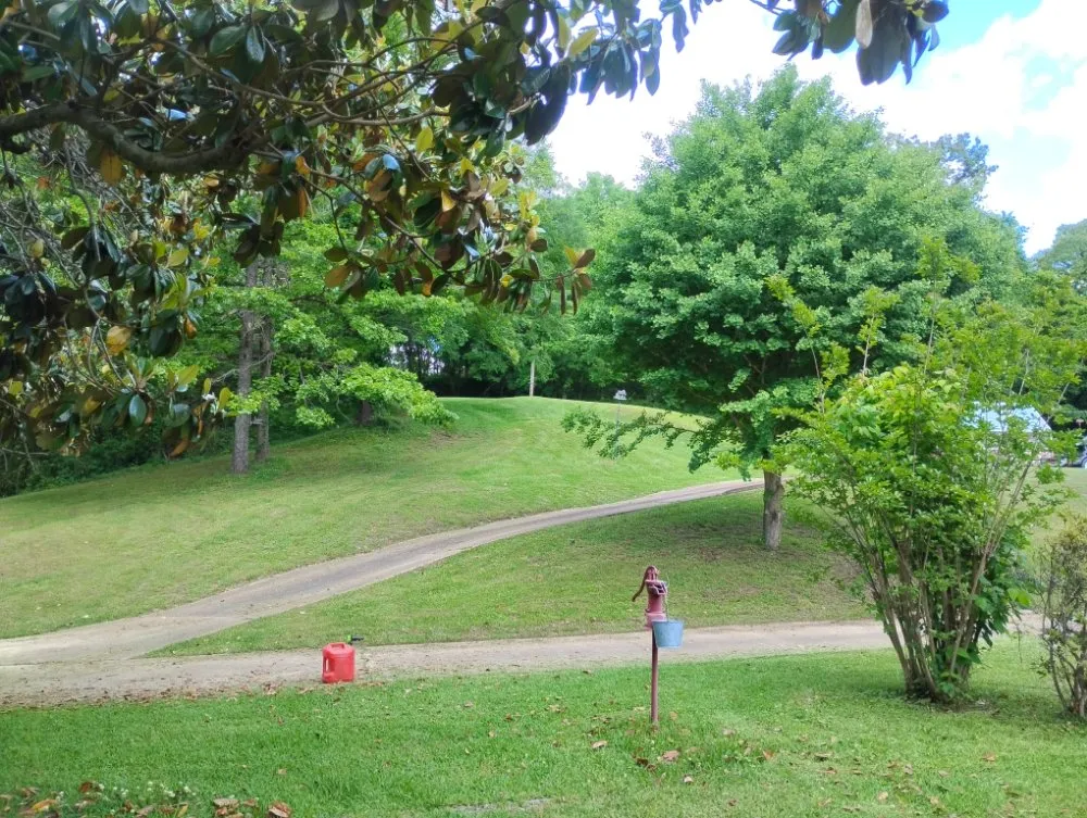 Custom yard maintenance experts serving Helena, AR - Perfect Lawn Care