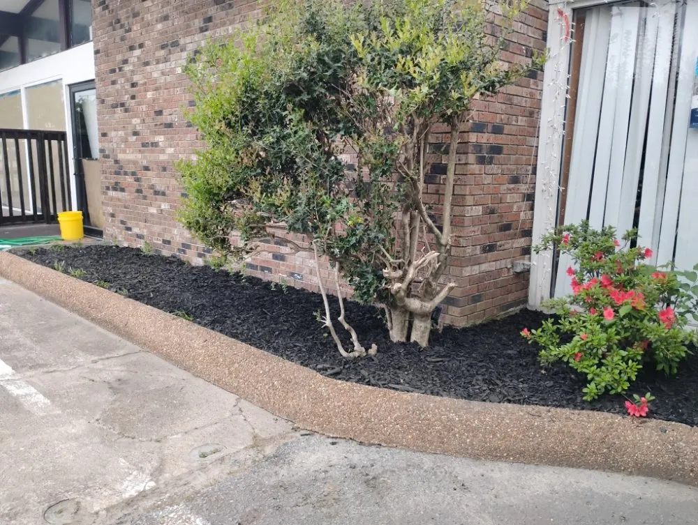 Expert yard cleanup service for residential properties across Helena, AR - Perfect Lawn Care