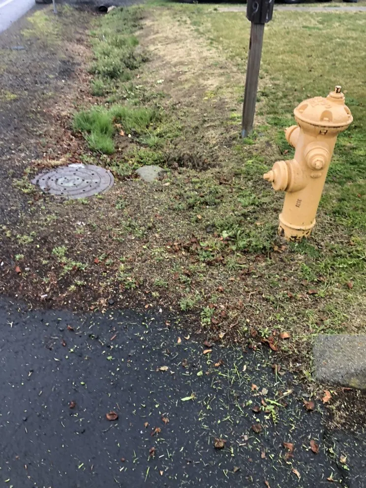 Expert landscaping services experts serving Medford, OR - Perfect Lawn Care