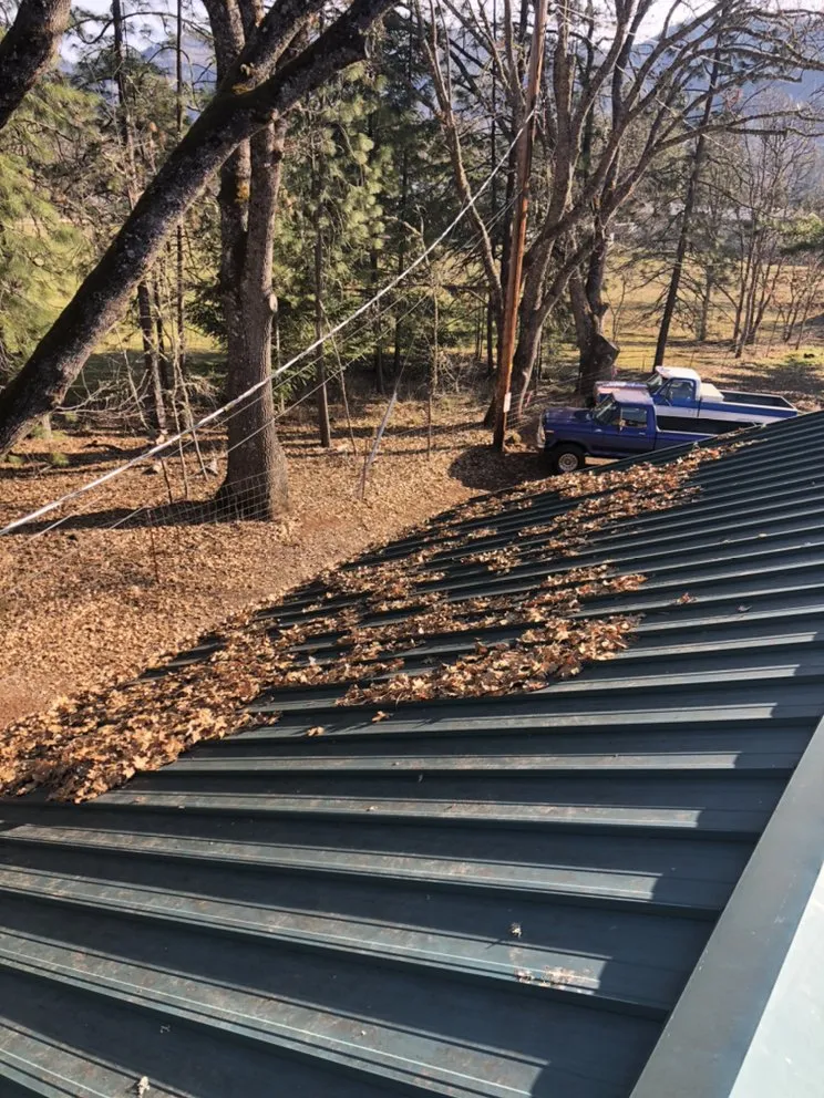 Expert yard cleanup service in Medford, OR - Perfect Lawn Care