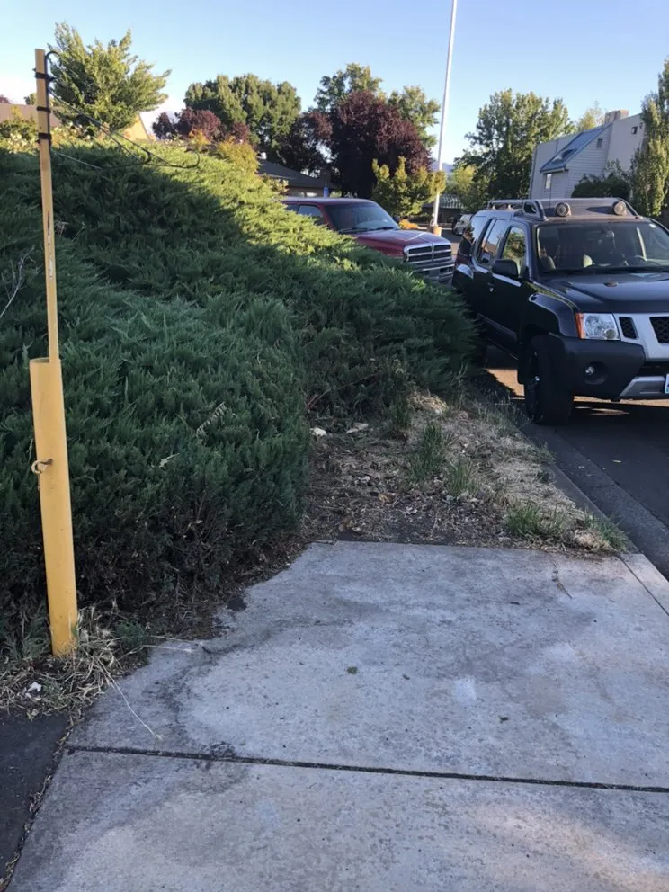 Expert residential landscaping with custom design across Medford, OR - Perfect Lawn Care