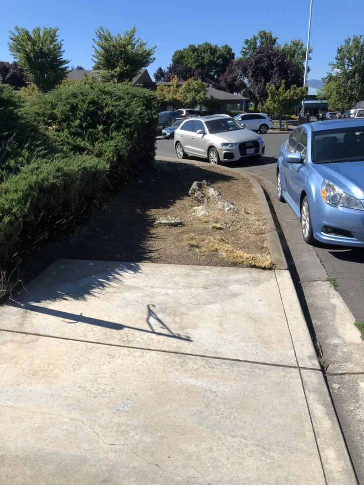 Expert yard maintenance near you in Medford, OR by Perfect Lawn Care