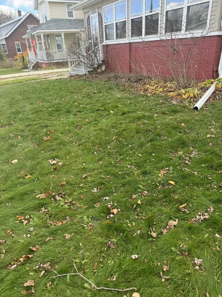 Top-rated landscape installation for outdoor upgrades in Marshall, WI by Perfect Lawn Solutions