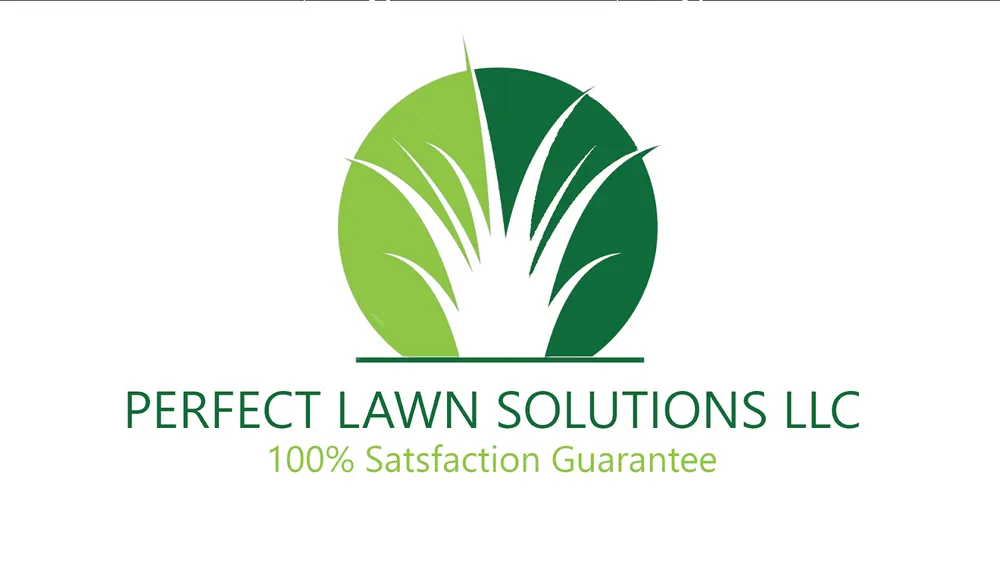 Trusted yard cleanup service for residential properties in Marshall, WI by Perfect Lawn Solutions