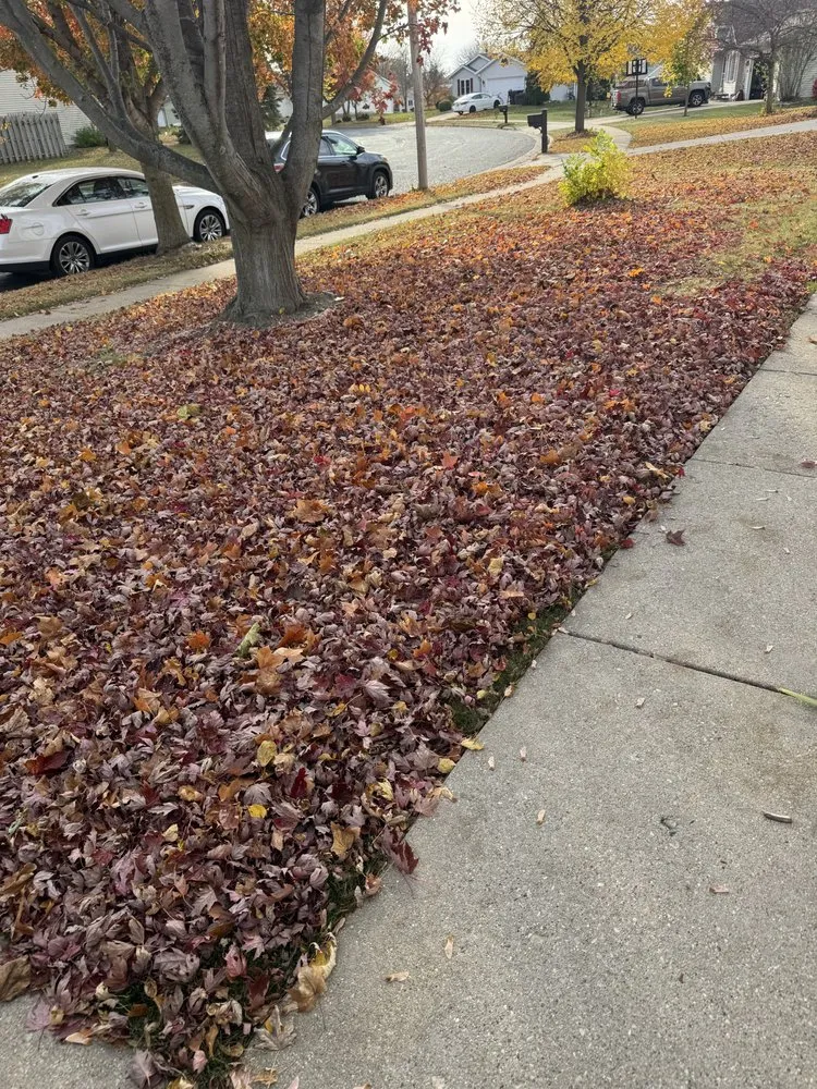 Trusted yard maintenance for year-round maintenance in Marshall, WI by Perfect Lawn Solutions