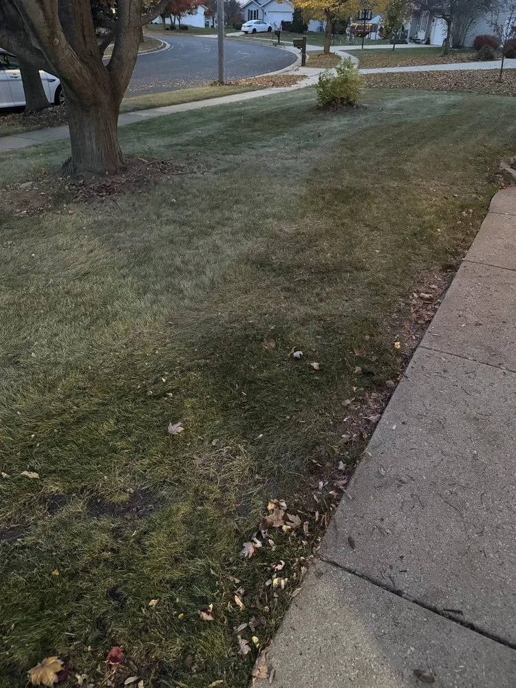 Professional residential landscaping for residential properties in Marshall, WI by Perfect Lawn Solutions