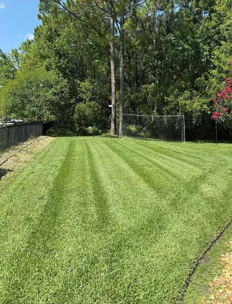 Trusted yard maintenance experts serving Winston-Salem, NC - Perfect Lawn