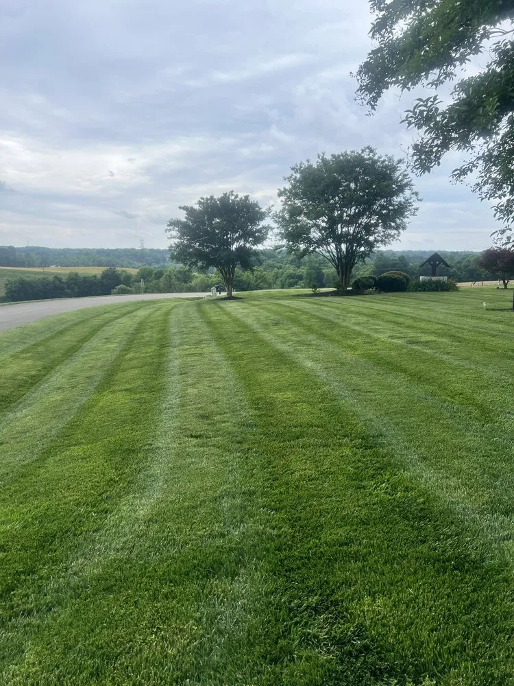 Professional yard cleanup service near you across Winston-Salem, NC - Perfect Lawn