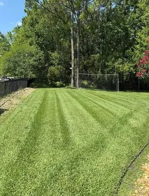 Perfect Lawn