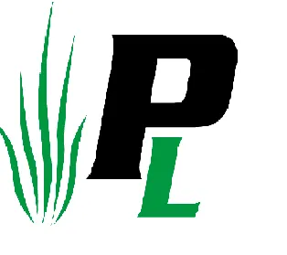 Local landscape design for outdoor upgrades across Williamstown, KY - Perfect LawnCare