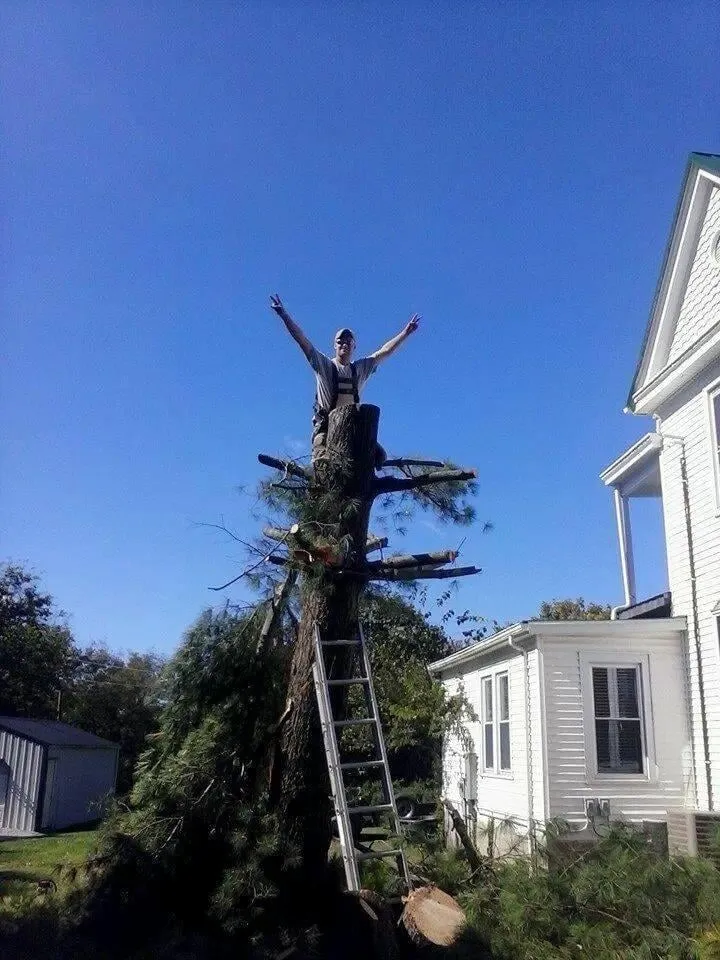 Expert lawn mowing service in Williamstown, KY - Perfect LawnCare