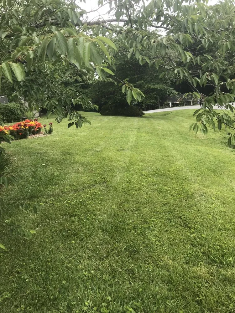 Top-rated landscape design experts serving Winston-Salem, NC - Perfect Lawncare