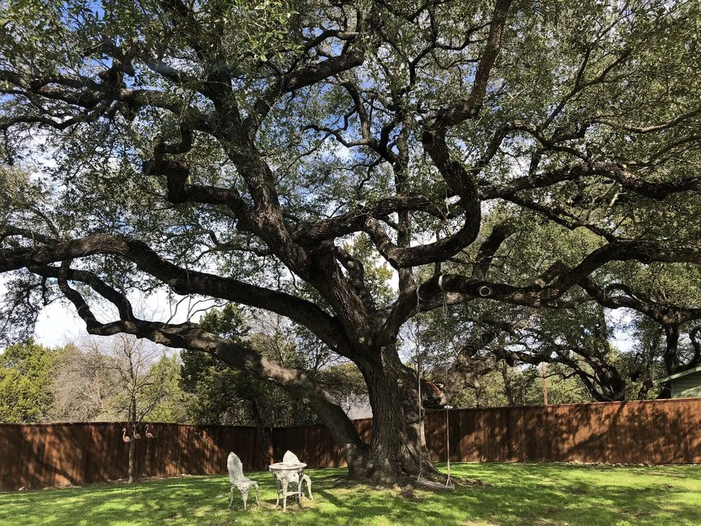Top-rated yard cleanup service for residential properties across Austin, TX - Perfect Lawns & Landworks