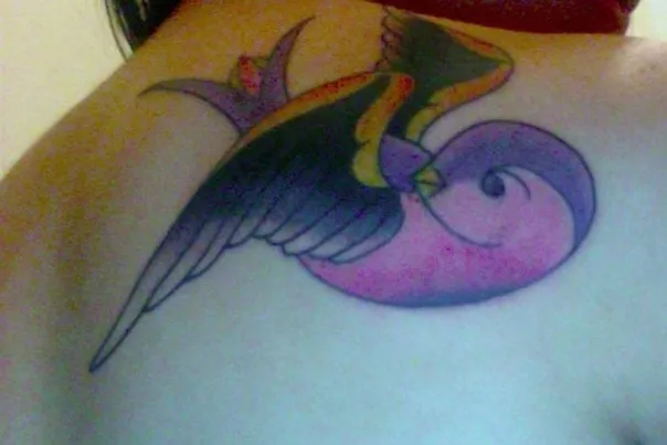 Professional landscaping services experts serving Austin, TX - Perfect Lawns & Landworks