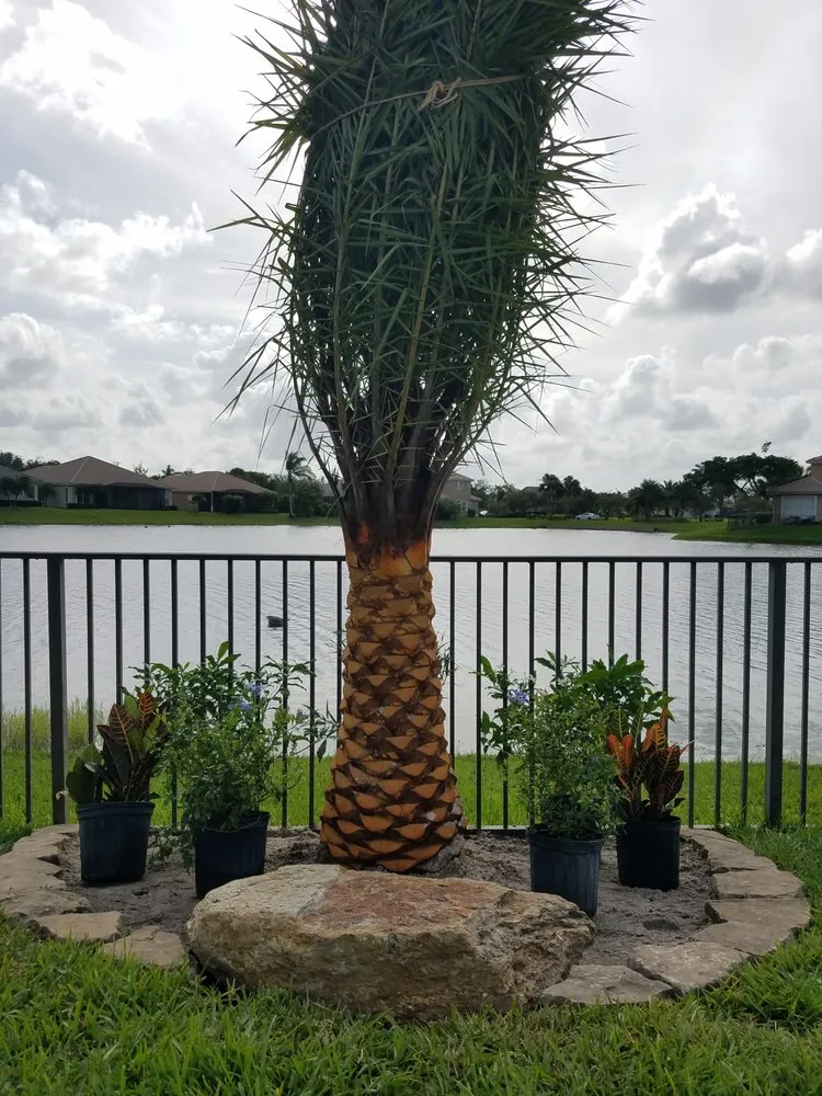 Local landscape installation in Oakland Park, FL by Perfect Lawns and Gardens